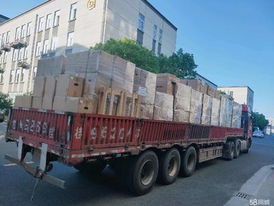 搬家人工搬运货物装卸上下楼临时工力工搬家师傅提供搬运工、装卸工服务